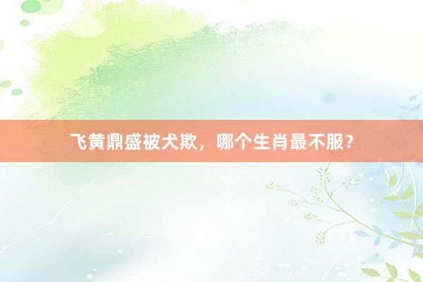 飞黄鼎盛被犬欺，哪个生肖最不服？